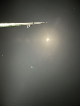 kar5g3h276xtvkxue7uv_361_480-4fd61497.jpg