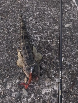 kbivy656jsm8cgfgppaf_361_480-9d25b3a3.jpg