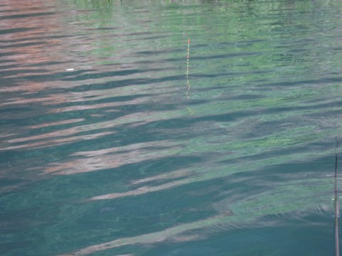 kbuduhkxy82e2fzj3e99_920_690-465e29c5.jpg