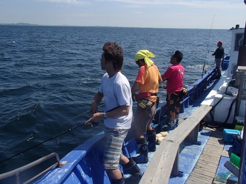 kbvenmjchvoamzscbf8b_480_480-793ba377.jpg