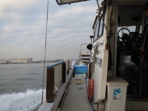 kc7sp682wj2ymykvmxpm_480_480-eedcf78a.jpg