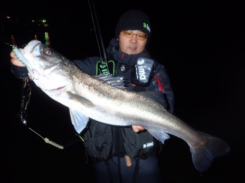 kcewu4yc2ckdbs6uekb7_920_690-ab491f96.jpg