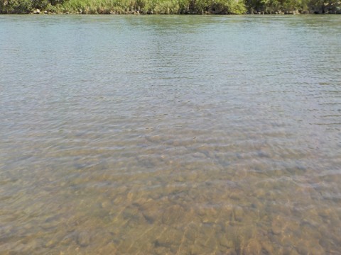kchzpcv2aw25gr2a8wth_480_480-852448ed.jpg