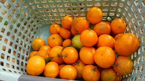 kcmgusxwdimj82bxkyus_920_518-b2190ec7.jpg