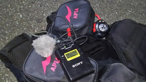 kctns6zbmkpb5sdstszy_480_480-7d8f859a.jpg
