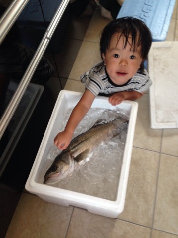 kcufijistcsf24bxdshh_690_920-39d94020.jpg