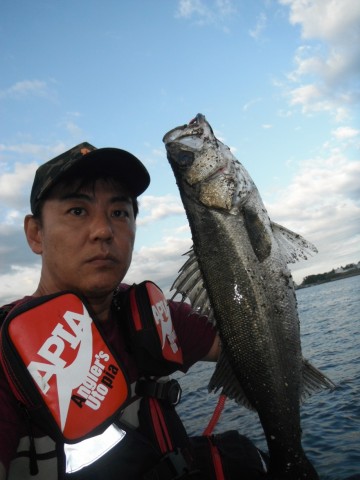 kdd2wedy23us9dtn2u7m_480_480-a7554d73.jpg