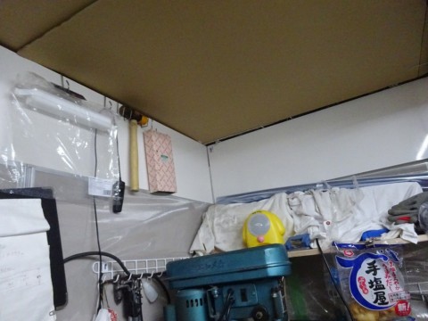 kdfybbc59vshyxdszfn5_480_480-031d4f06.jpg