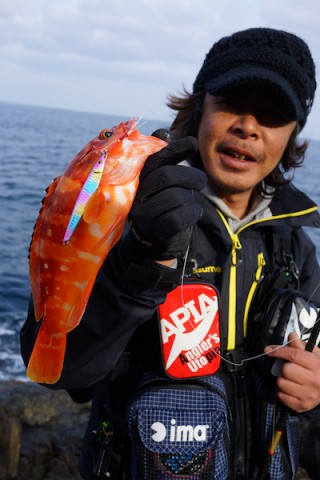 kdjuwuzzodzruwt8ojtp_480_480-478889a6.jpg