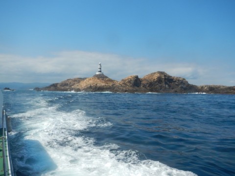 kdox6893f7u92emytook_480_480-4f6e8030.jpg