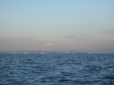 ke3btcn5ad3ribdfkpez_480_480-62e10807.jpg