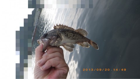 ke45ja7kmgo7n86anook_920_518-7b3c3746.jpg