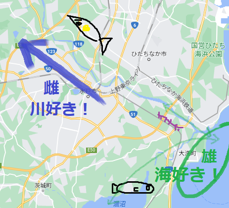 ke7tj8s82ny63m9u53k6-535ea71a.png