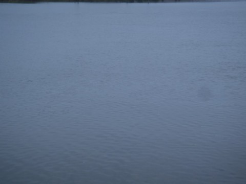 kes4b6b6nc9uaz9fnzkx_480_480-eb00f4ec.jpg