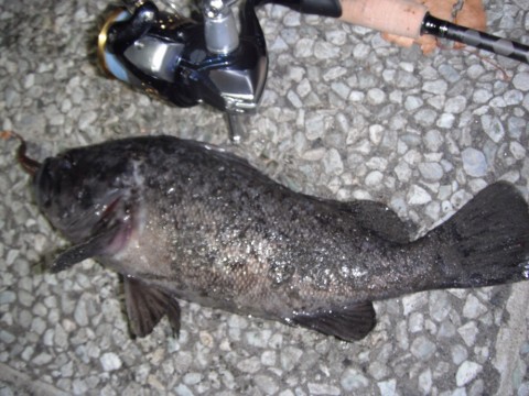kevjsuggppaadouaju27_920_690-64739e28.jpg