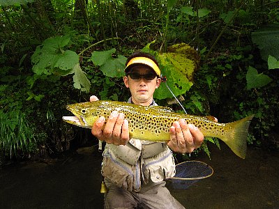 kf82murjvemmw85xfx36-108b3952.jpg