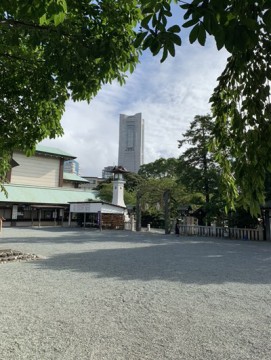 kfmyu9iehvm96epx6rje_361_480-e67192a9.jpg