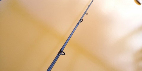 kfuzpsorjmiix78rhk9i_480_480-a220a8a7.jpg