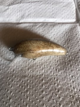kgaexcmsoydjtvw678gx_361_480-1fd13105.jpg
