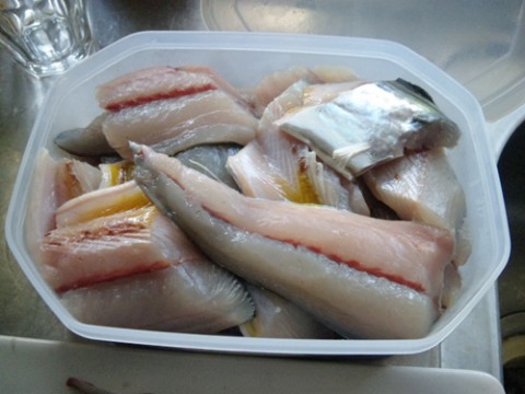 kgd3wh6usfwwuhswyybz_480_480-fa32b1db.jpg