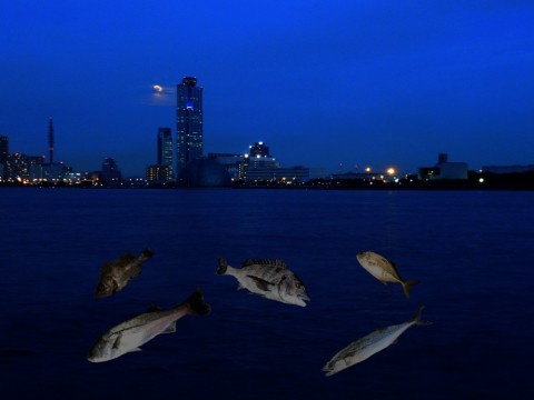 kge62icdyuafwkkw8biz_480_480-c8972cc1.jpg