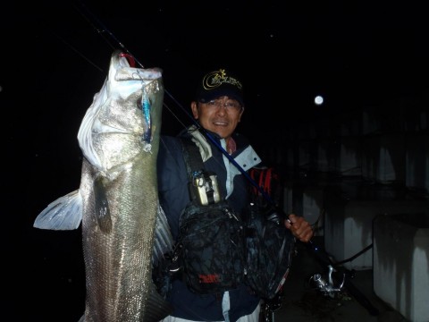 kgjpnovda9eak5r9s7ue_480_480-eb6f6954.jpg