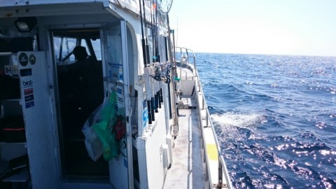 kgu63n8oocpr8t3gatky_920_518-5a0604c6.jpg
