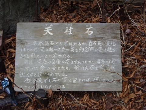 kgvinine8aj785d4nhcj_480_480-00c1a778.jpg