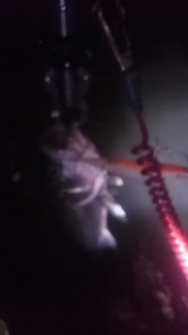 kh2ga9uyapkmnvcc6tht_518_920-3cc0156a.jpg