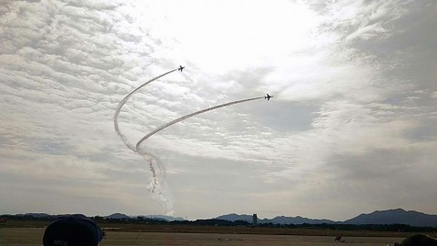kh5o9ptjk929j87xcm5a_480_480-16bc6952.jpg