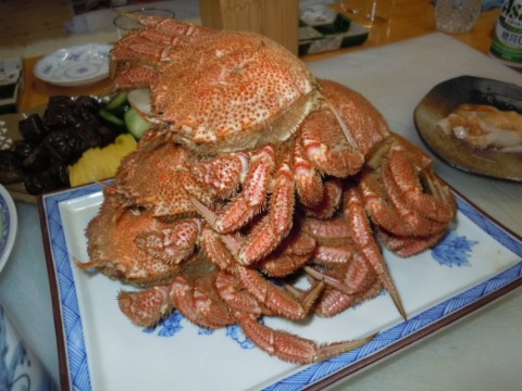 khamcejf7xczxv5e3rkp_480_480-4b657b3c.jpg