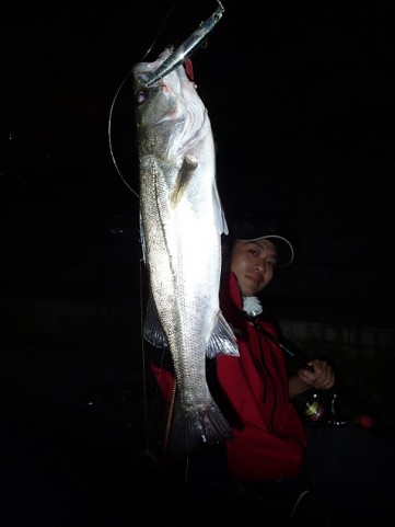 khc8m88b6corgmxdjmoo_480_480-689e73a8.jpg