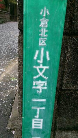 khtnvsaffnyvy48zy6oe_360_640-8130090c.jpg