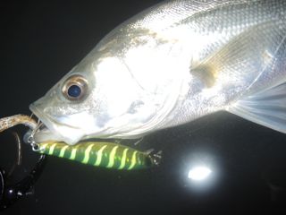 khwdsd9z5n8igs96ttnx-795bf0b7.jpg