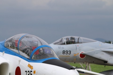 khysixmvco2vjs3fw3yt_480_480-92f0c0ec.jpg