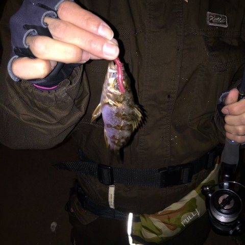 ki6onkb56xuvv68cjnu8_480_480-3c12d4c5.jpg