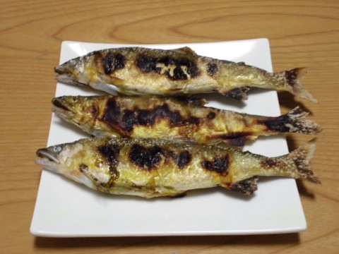 ki7h9duek9ixnfoifdmg_920_690-b5908e8d.jpg