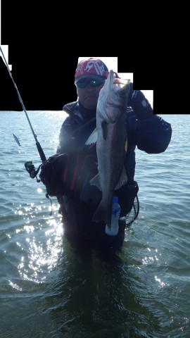 kiguhskkomony9jtcigw_480_480-8899d263.jpg