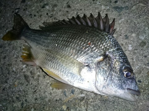 kih2hpcbadmh2rov5sjs_920_690-622b842e.jpg