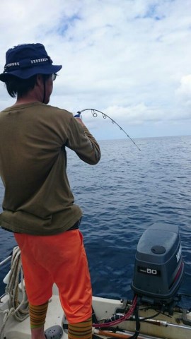 kii484om6wctsijwdv3p_518_920-18f45cff.jpg