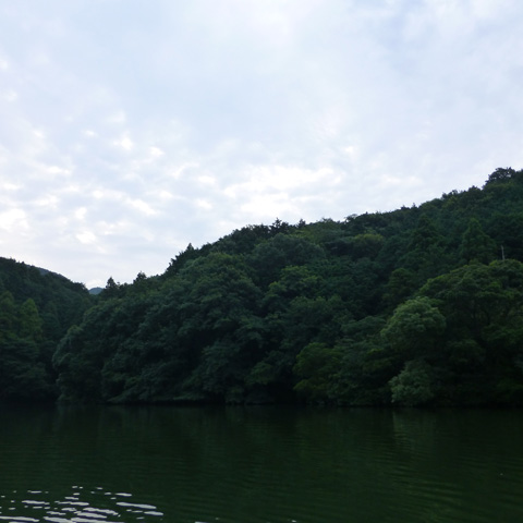 kii4tffghyvv6vxkcj24-576e8867.jpg