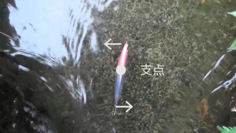 kiijitx3vkvjsk38xc2t_480_480-447bac9c.jpg