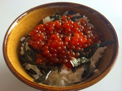 kiinuw9ub25ooc3hwv4v_480_480-f986e735.jpg