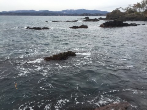 kirarfhjngtnhrzftxxj_920_690-5ab89275.jpg