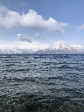 kjromsrjkwuphvpy7b3e_361_480-9544d5f3.jpg