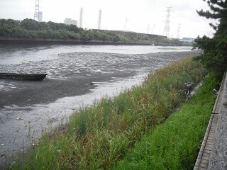 kjvckdyeezacwhz2dzhx_320_240-02847d3f.jpg