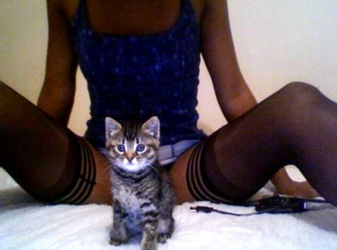 kjwncxitxx63veiiwcct_480_480-142096a1.jpg