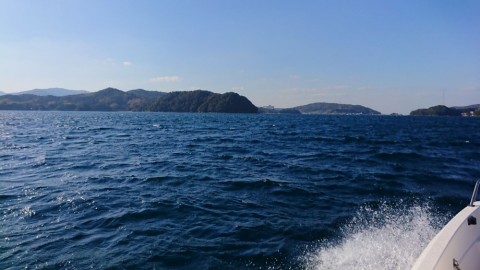 kk743vj3jih9phfcrni9_480_480-8a63f98f.jpg