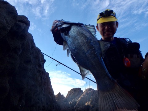 kkabv546nykd2jp95hui_920_690-f39c52f6.jpg