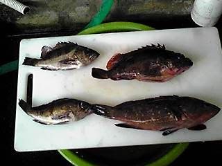 kkfcyvhc7vvdhbjxcvkf-2845cf70.jpg